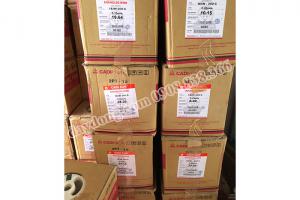 Dây đồng tráng men